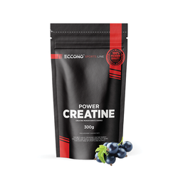 Eccono Power Creatine 300g - fruits